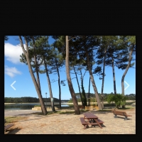Balade en forêt près de l'océan