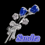 Sania35