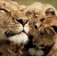 Joann