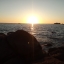 Sophie_29