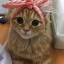 Lilouu93