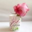 colombe_2020