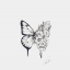 papillons.78