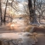 La_Tagada_Joyeuse