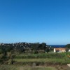 IMG_0546