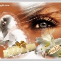 img_1543941260566