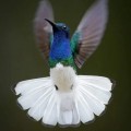 IMG_20230628_155746
