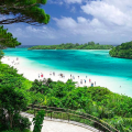Screen Shot 2019-08-15 at 10.59.30 AM