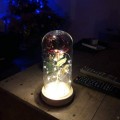 FB_IMG_1550267537698