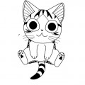 1498593047chat-chi-pret-pour-une-photo