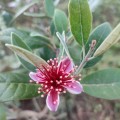 IMG-20230703-WA0002