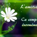 l-amitie-ca-compte