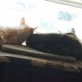 IMG_20230617_170853