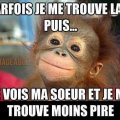 Nouvelle