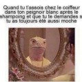 FB_IMG_1642541619281
