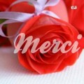 Atsoupi 20171108_152658