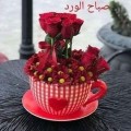 IMG-20181116-WA0000