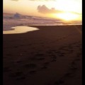 Screenshot_20190614-162829