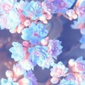 a49c29182a629ff24f64a81fdabe1585