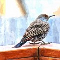flicker-1980172_1280