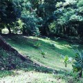 IMG_20180711_235640_058