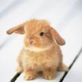 Maman qui s'ennuie !!!!