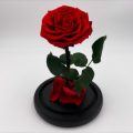 4E8F3560-7413-49AE-A40A-9EB41C1C5C33