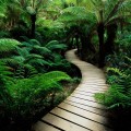 super_fond_ecran_gratuit_046