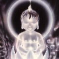 Licorne 06