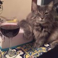 FB_IMG_1553376532138