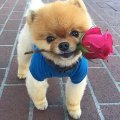 Rencontre femme