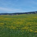 IMG-20180513-WA0003