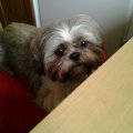 recherche une amitié sincère