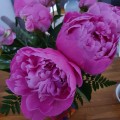 IMG-20210608-WA0001