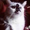 Copine pour partager nos loisirs ensemble