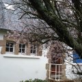 Copines à Lannion et les environs