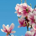 MagazinePic-05-2.3.001-bigpicture_05_1