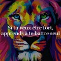 8A74D9C8-C87E-4552-98B2-4AE46AB28EEF