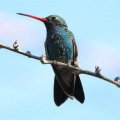 Cherche amies sincères sans ambiguité