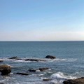 Image (1)