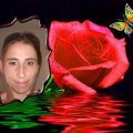 cherche amis