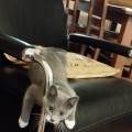 IMG_20220810_065955