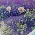 Recherche contact et amitié