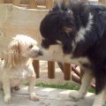 Recherche à faire des rencontres amicales, pour faire des sorties, rigoler, s'amuser et etc :)