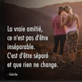 96122198-7561-435E-B7C3-9EEF976710A6