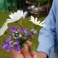 IMG-20190427-WA0037