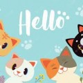 chats bonjour