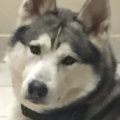 Recherche amitié
