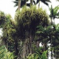 IMG_0740