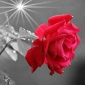 FB_IMG_1569472639093